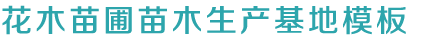 尊龙官网平台