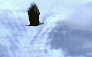 概念动态永吉股份新增“股权转让(并购重组)”概念