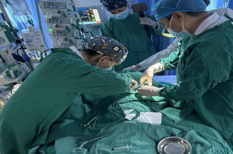 巴彦淖尔市林业和草原局